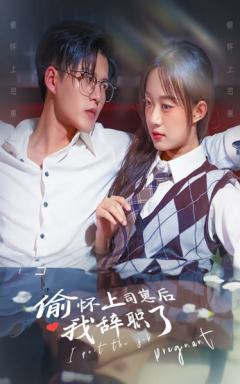 偷怀上司崽后，我辞职了