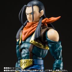 SHF 超级17号-资料图