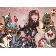 にゃんこCafeようこそ 猫咪咖啡店-资料图