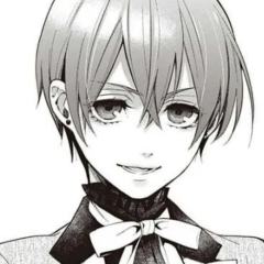 夏尔·凡多姆海威(兄)