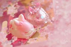 Mini樱花回忆