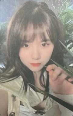 林恩同《瑶光之迹》纪念小卡VER.A