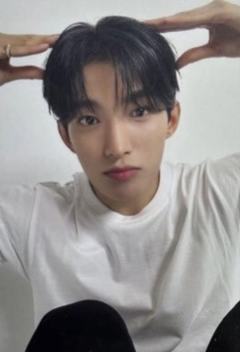 DEAR版专卡 硕 ver.D