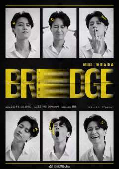 BRIDGE张泽生日会