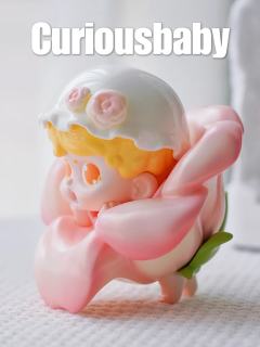 Baby bei-Rose-资料图