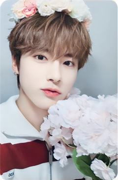 mr签售5.0 艾 赏樱ver.