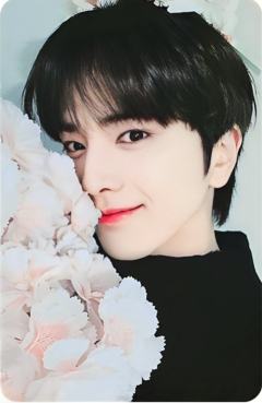 mr签售5.0 熏 赏樱ver.