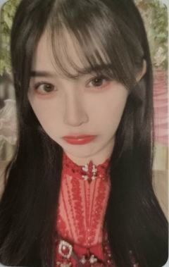 苏杉杉 最佳拍档3.0 ver.B