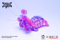 水产箱系列 005 螳螂虾 幽幽粉-资料图