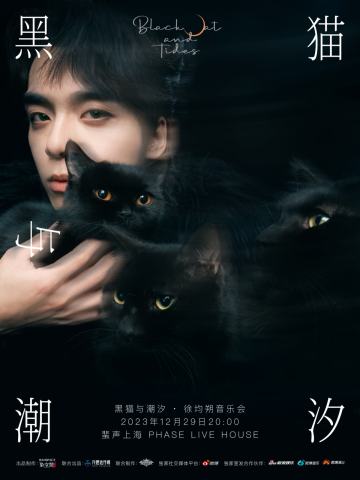 黑猫与潮汐