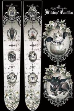 Witches Familiar 魔女使魔-资料图
