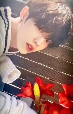 WHITE ver