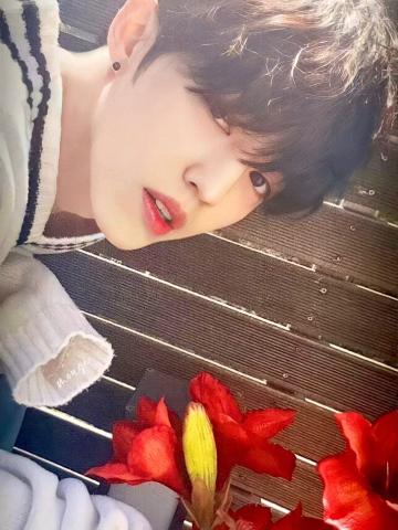 WHITE ver