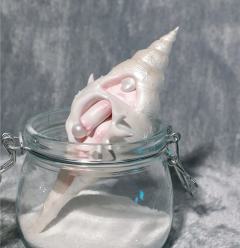 海螺Notte-资料图