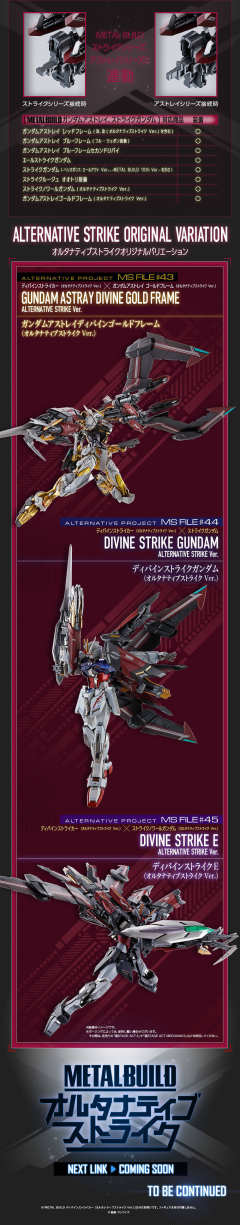 METAL BUILD 圣约型强袭装备（Alternative Strike规格）-资料图