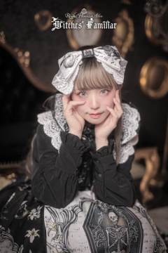 Witches Familiar 魔女使魔-资料图