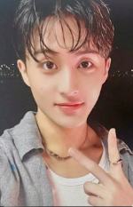 随机卡灰版 马 ver.B